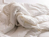 Cocoon Duvet Inner K Pure (230X220)